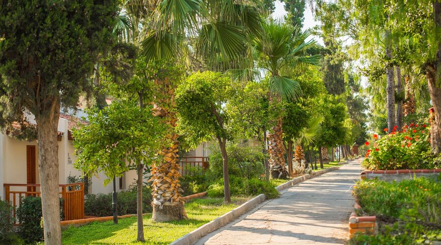 Pine Bay Holiday Resort