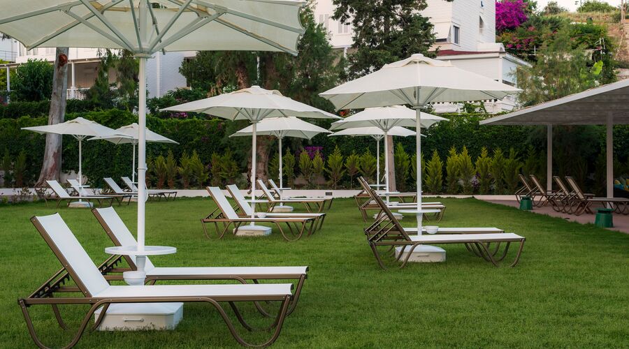 Liv Hotel By Bellazure