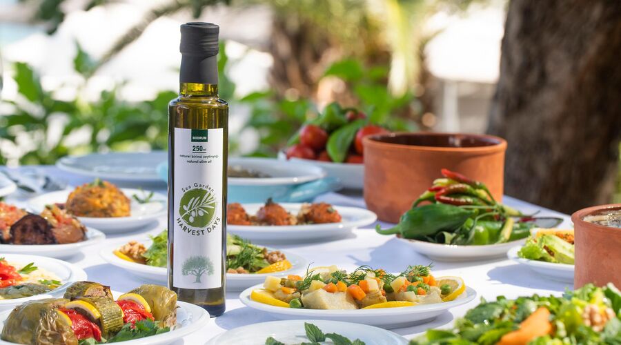 Hapimag Resort Sea Garden