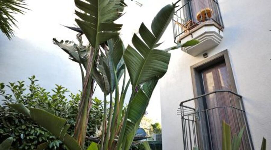 Elista Hotel Spa Türkbükü