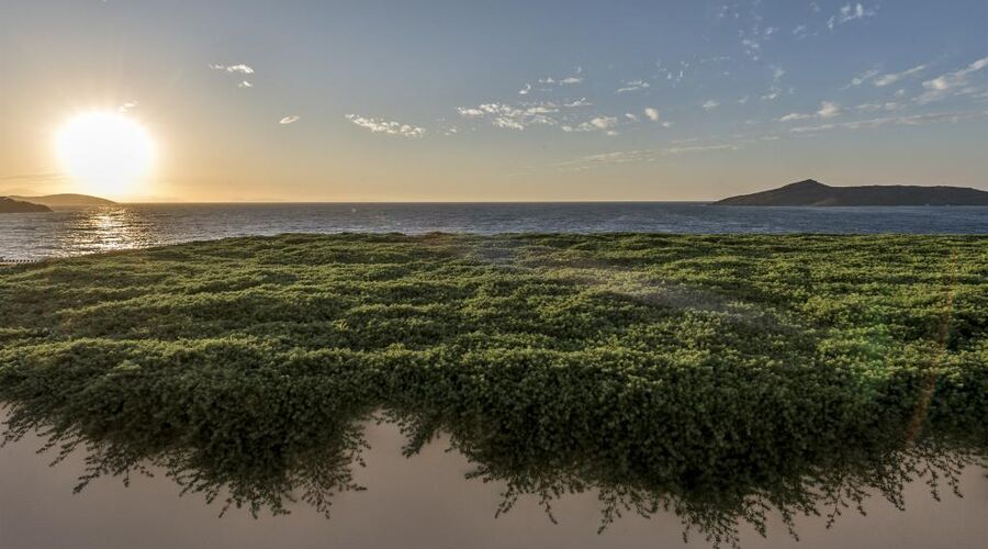 Allium Bodrum Resort& Spa