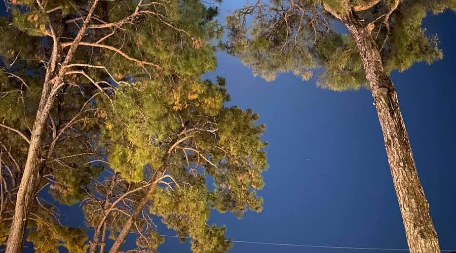 Club Bellamare Beach