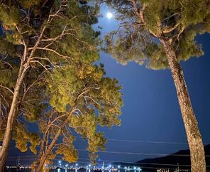 Club Bellamare Beach