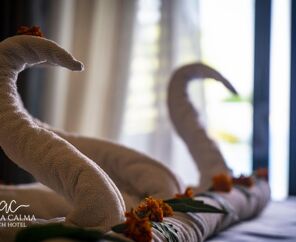 Adora Calma Beach Hotel