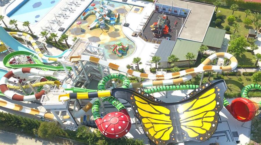 Dream World Aqua Side