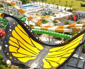 Dream World Aqua Side