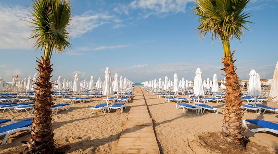 Dream World Aqua Side