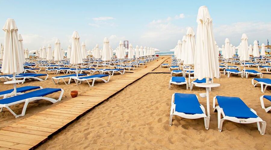 Dream World Aqua Side