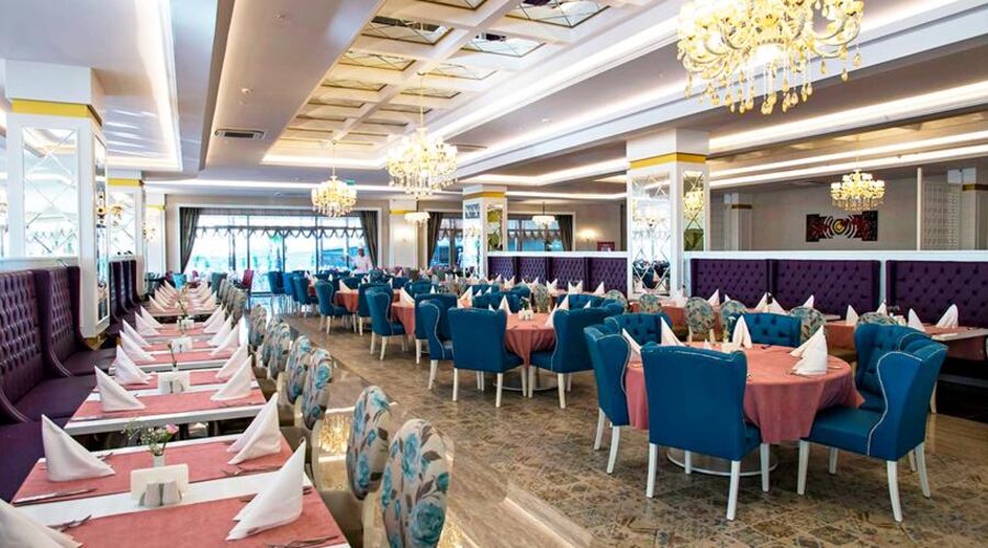 Dream World Aqua Side