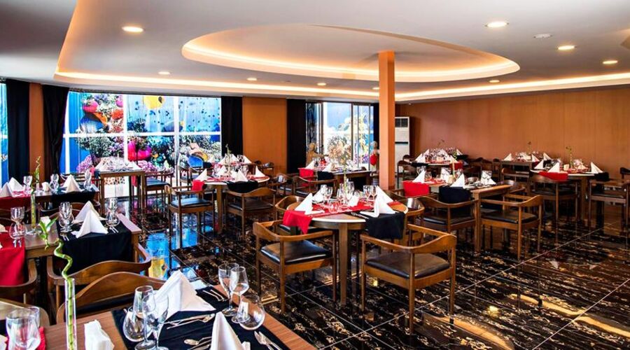 Dream World Aqua Side